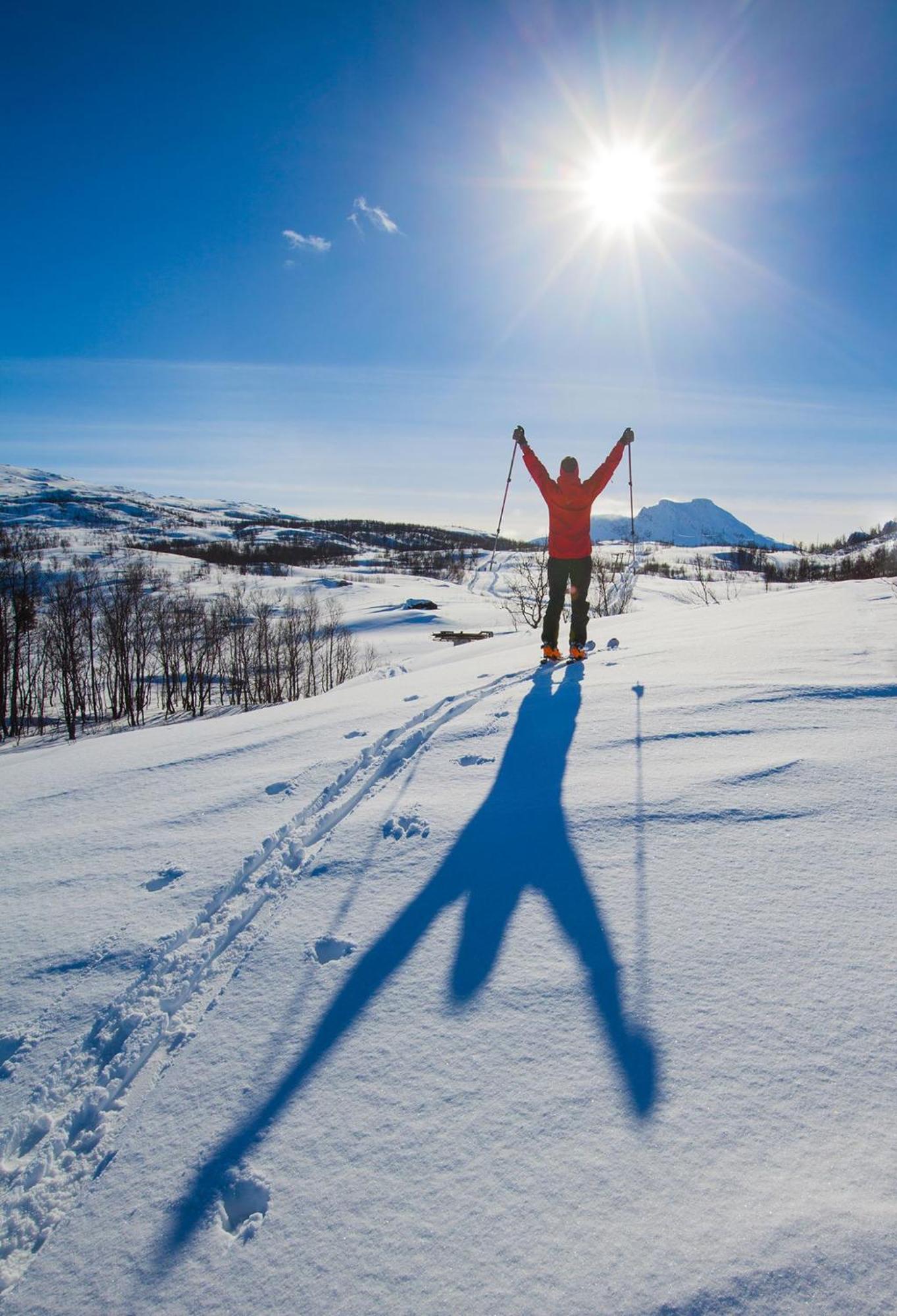 Ballangen Camping Narvik Exteriér fotografie