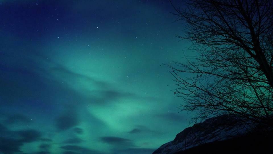 Ballangen Camping Narvik Exteriér fotografie