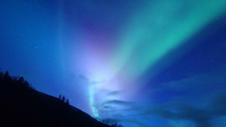 Ballangen Camping Narvik Exteriér fotografie