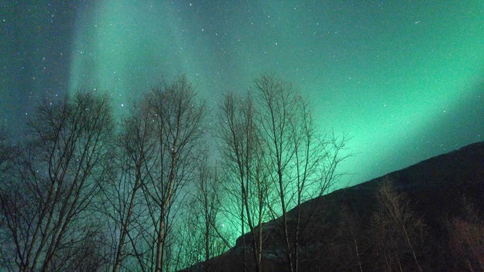 Ballangen Camping Narvik Exteriér fotografie
